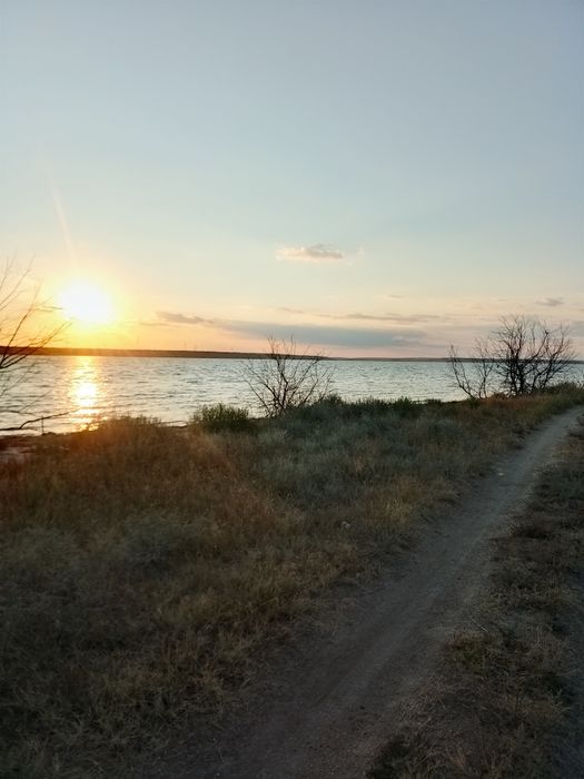 Сдам комнаты в Коблево возле Тилигульского  лимана.  Частный сектор.