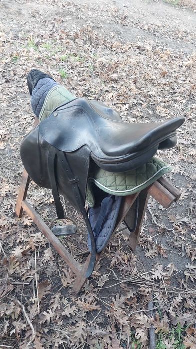 Égua montada com livro azul