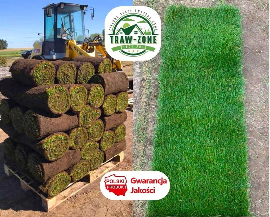 40m² Trawa w rolce PREMIUM - PRODUCENT