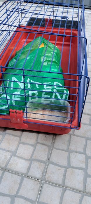 Gaiola para hamster como nova