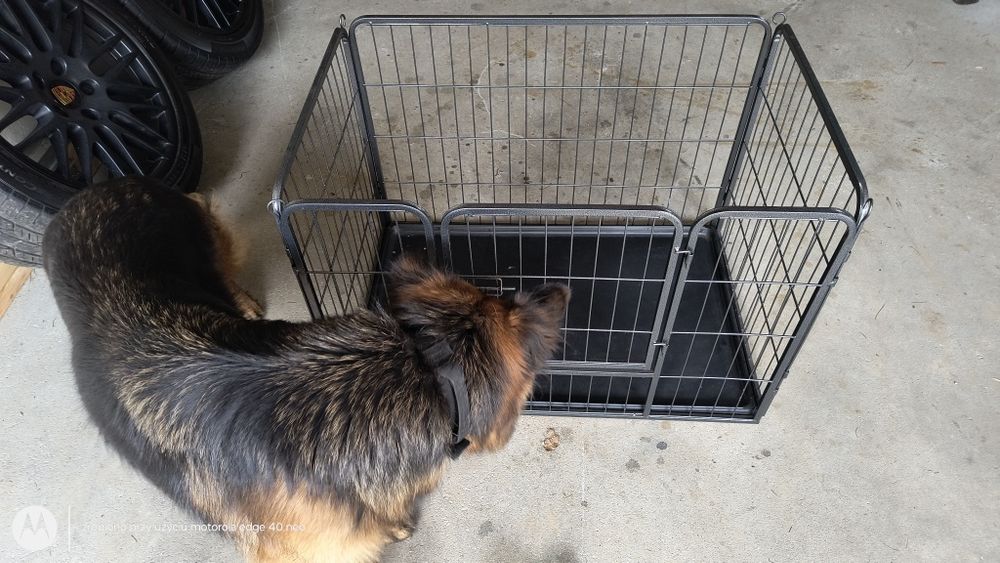 Klatka, kojec, zagroda dla psa.