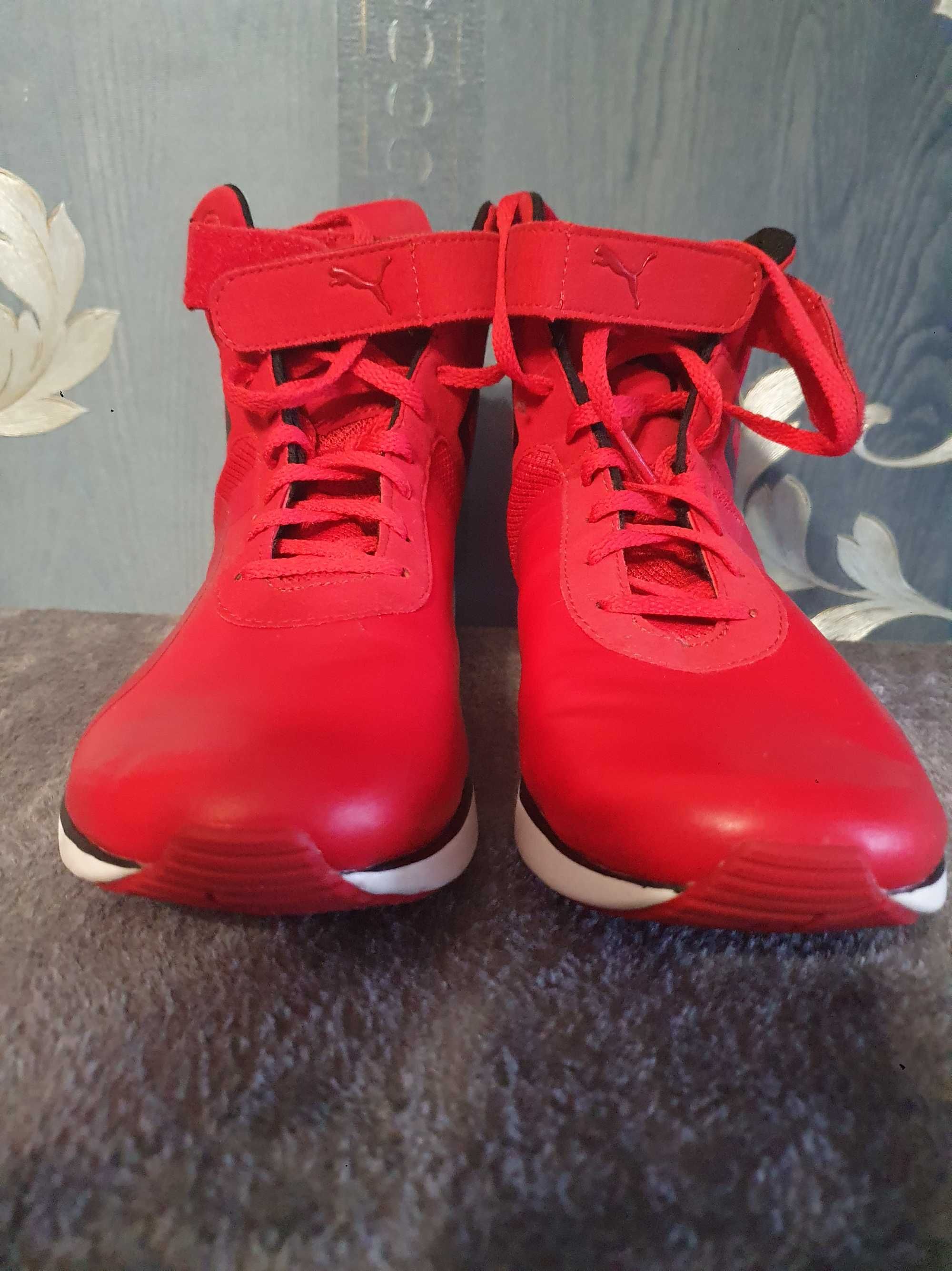 Puma ferrari clearance f116
