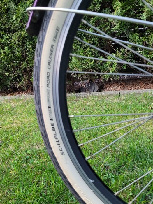 Batavus GABANA, Rower 24", 3 biegi w piaście, shimano nexus