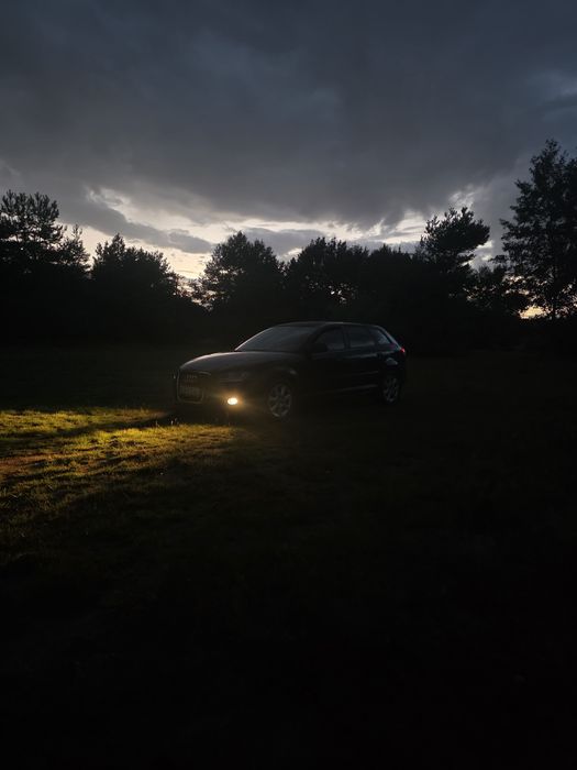 Audi a3 8p 2.0 tdi 2010