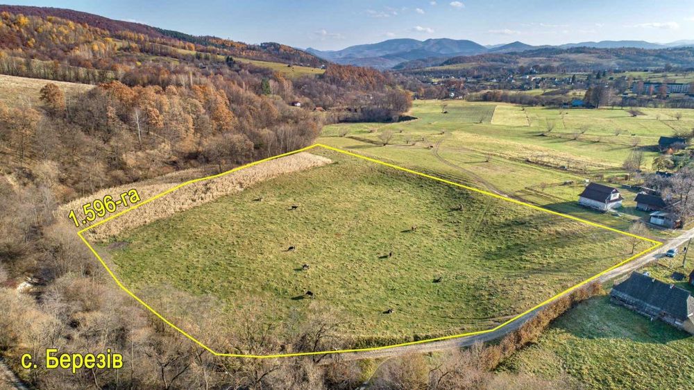 Продаж земельної ділянки в Карпатах