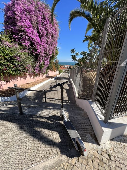 Segway / Trotinete Ninebot MAX G30LE II