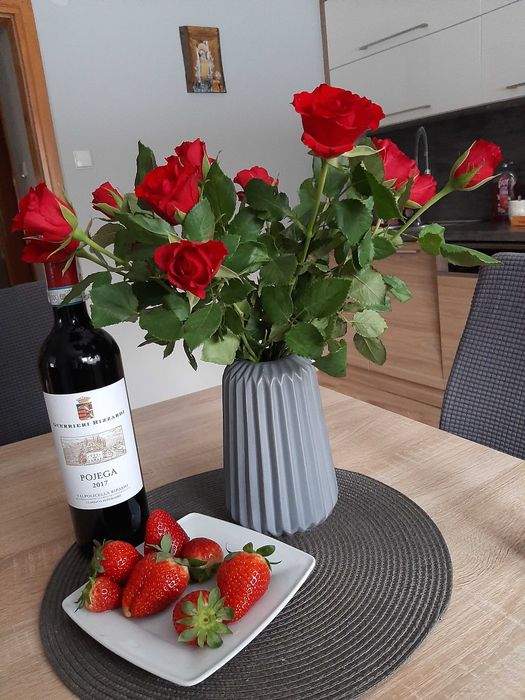 Apartamenty i pokoje gościnne Anita