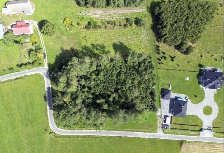 Sprzedam dzialke Zasów