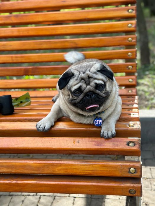 Гарний женіх шукає наречену