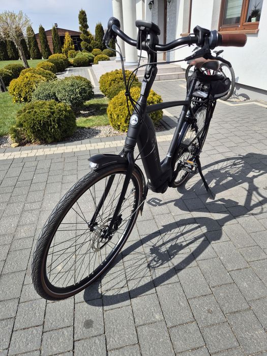 Rower męski Gazelle Grenoble c8