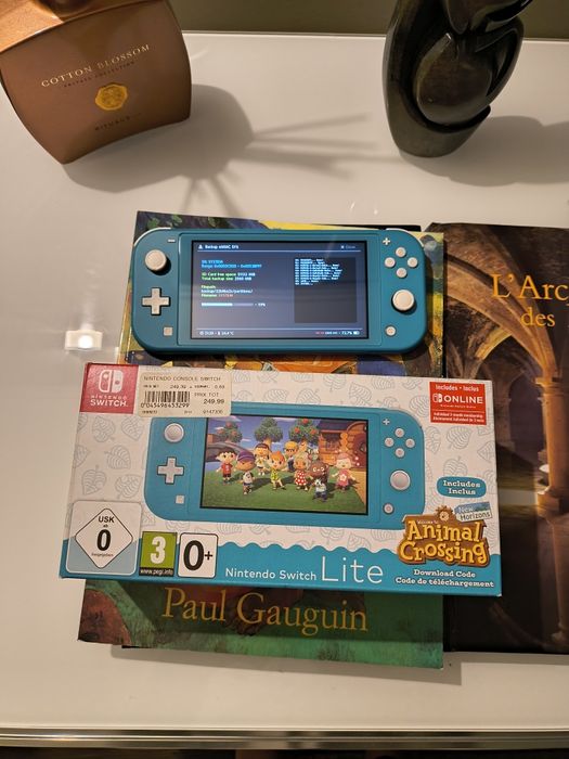Switch Lite desbloqueada