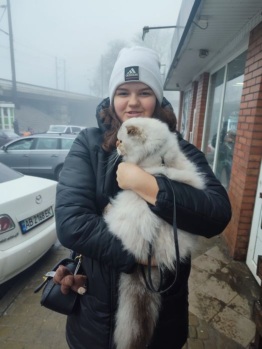 Будь ласка!!!SOS!!!ми не втрачаємо НАДІЮ