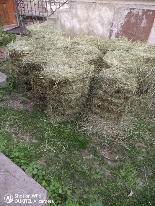 Продаж тюків( бал )