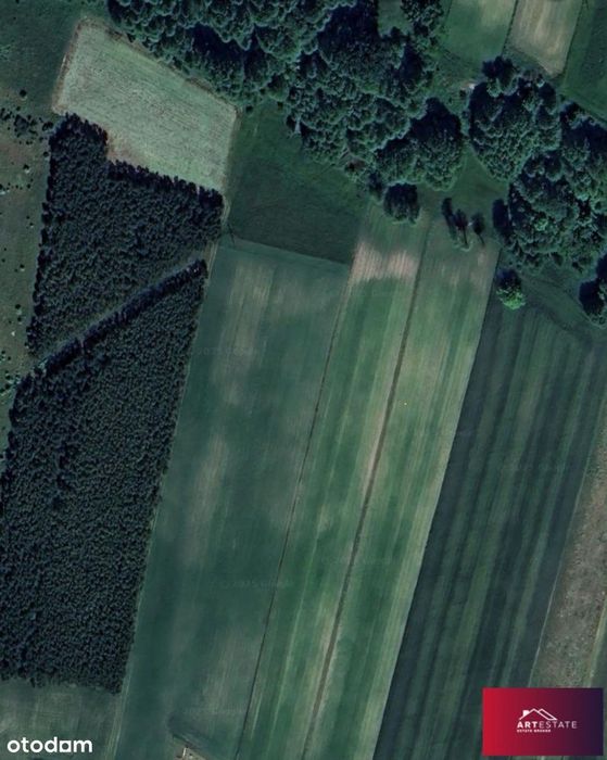 Działki budowlane Bełdów – od 1000 m² | Spokój, na - Więcej