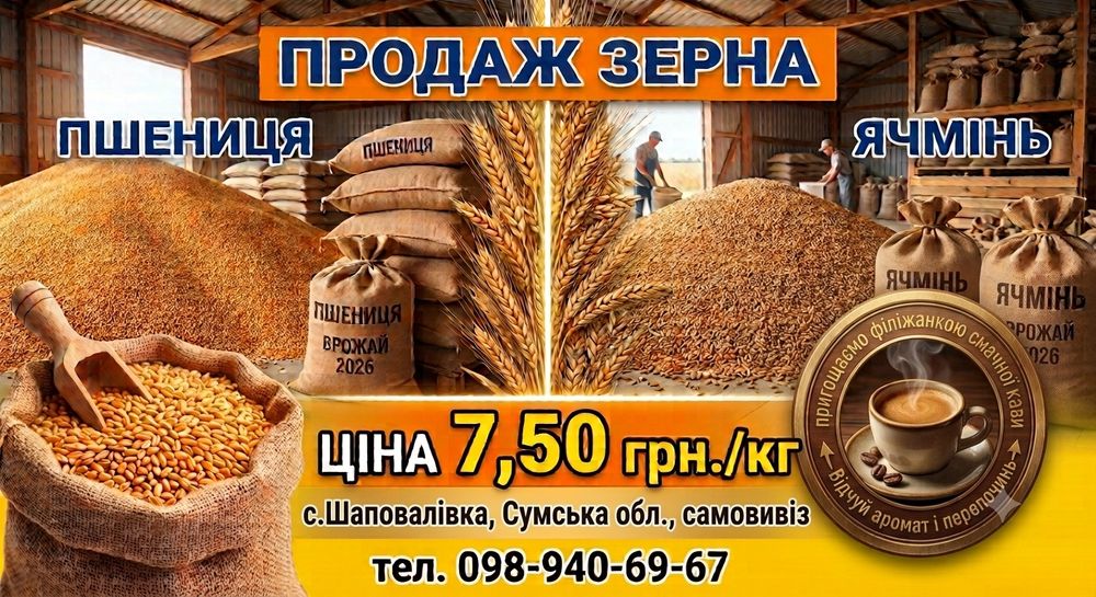Продаж Пшениця/ячмінь