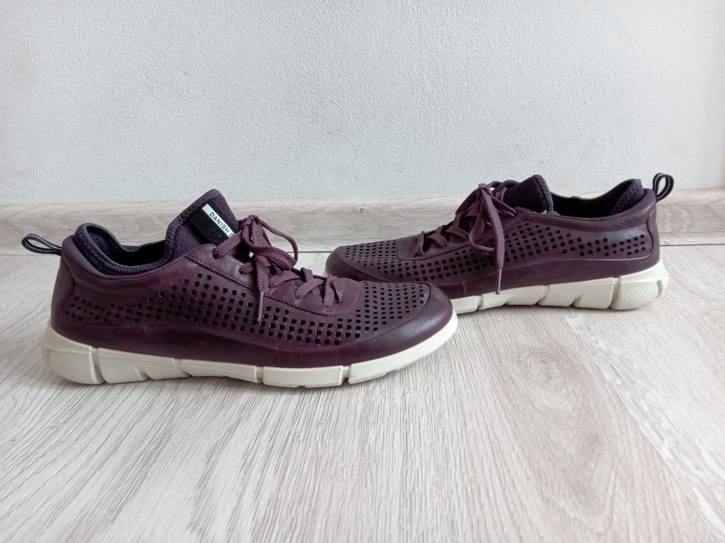 Ecco intrinsic 1 hot sale