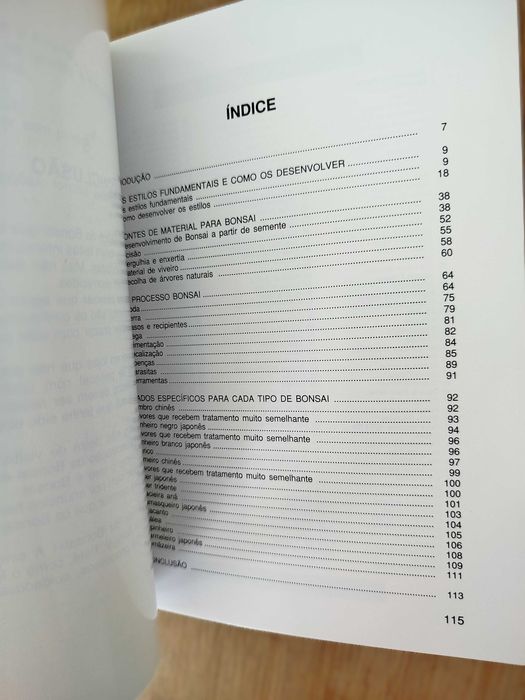 A Arte do Bonsai - Portes Gratis