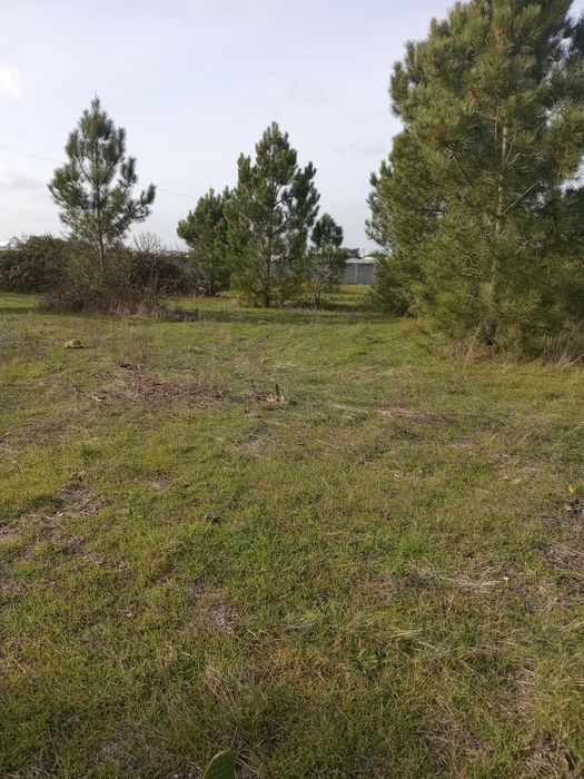 Terreno 300m2, 5mil euros de entrada