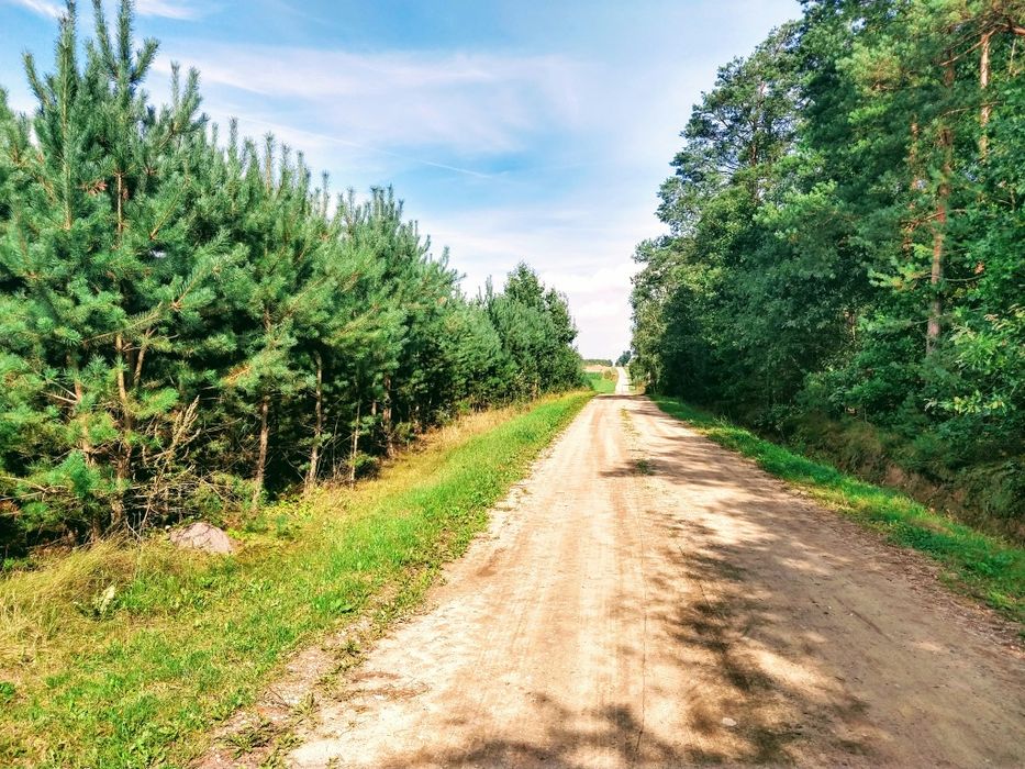 Działka Borkowo Mazowieckie Wkra