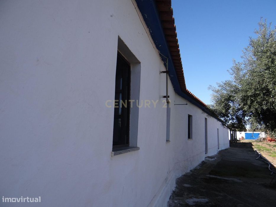 Alentejo-ALBERNOA-BEJA Uma quintinha que é um sonho, uma longa Casa, d