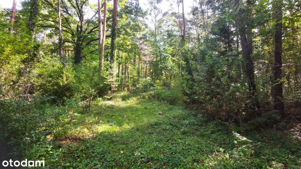 Działka 1285m2/Budowlana/MPZP