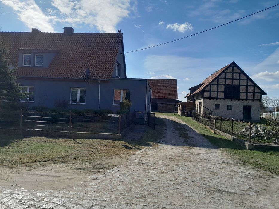 NOWA CENA! Dom jednorodzinny, duża działka , dwa pom. gosp. Kursko - Widok 3