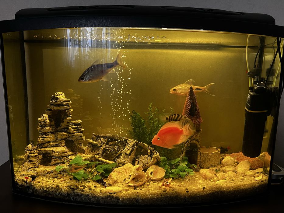 Акваріум 120л.  Рибки