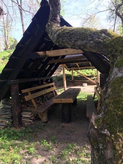 Будинок в Карпатах, гори, сауна на дровах, чани, басейн