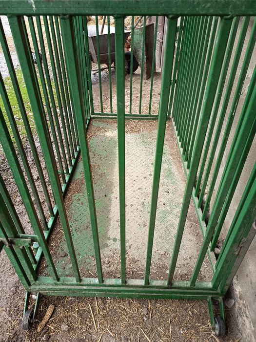 Zgrabiarka karuzela Fella, pająk i waga do bydła