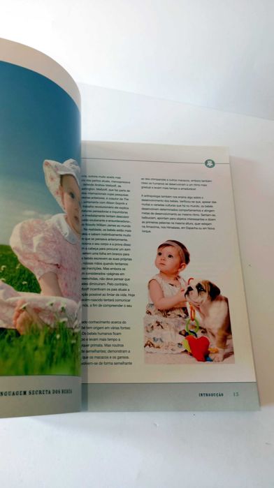 A Linguagem Secreta dos Bebés