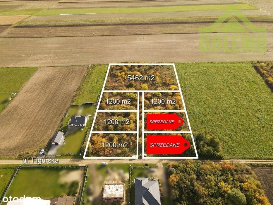 Działka budowlana / 1200m2 / Żuraw, gm. Janów
