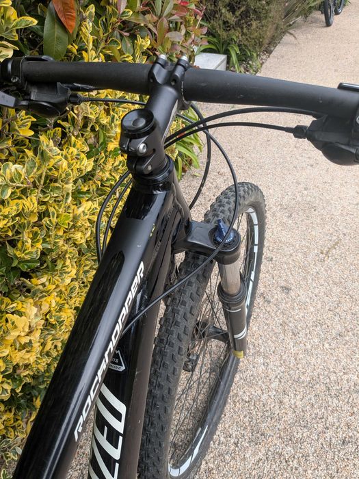 Bicicleta Specialized Rockhopper - Roda 29'' Tamanho M