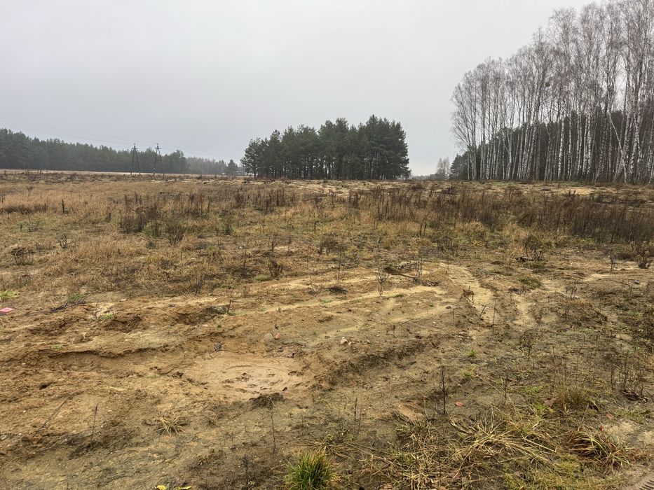 Działki z warunkami zabudowy - Widok 2