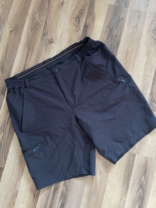 Szorty męskie Icepeak szare XXL