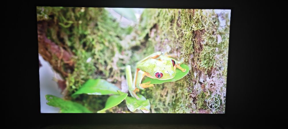 Telewizor LED 65 cali Thomson 4K Smart Hdr