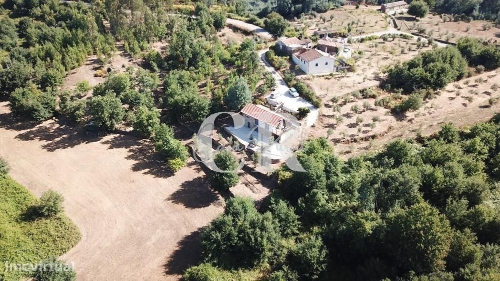 Casa de Pedra Renovada, Ruínas, Riacho, Poços e 15.570m2 de Terreno na