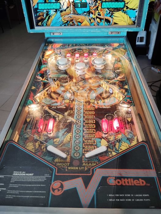 Fliper Pinball - Amazon Hunt