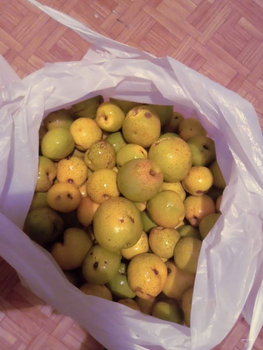 Sprzedam owoce pigwy cena 1 kg