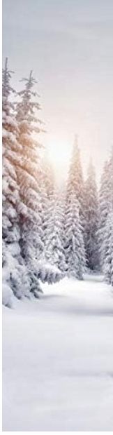 home fashion zimowe słońce zasłona przesuwna, biała, 245 x 60 cm