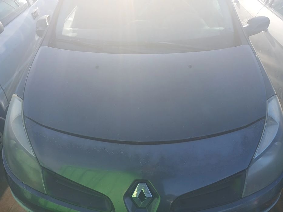Capot RENAULT Clio III (BR0/1, CR0/1)
