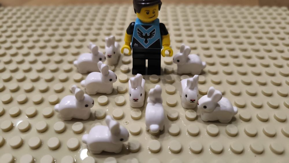 pakiet 10 królików klocki kompatybilne z lego