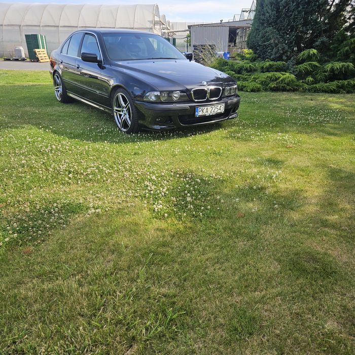 Bmw e39 535 xenon