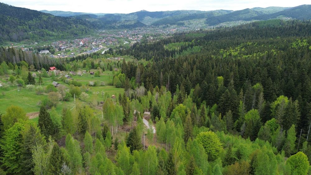 Ділянка в Карпатах Микуличин, земля в горах, земля в горах біля потічка, Ділянка в лісі, Ділянка в Микуличині