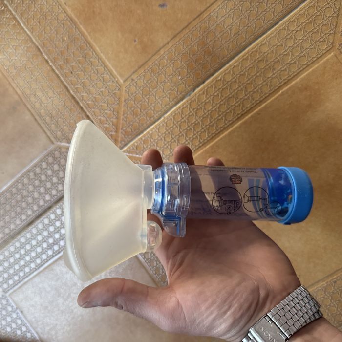 Aerochamber Plus Flow-Vu Máscara Grande +5 anos