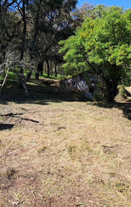 Quinta em São Salvador da Aramenha Marvão Portalegre Alto Alentejo