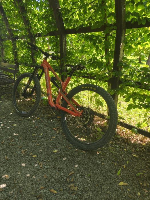 Canyon Specialized