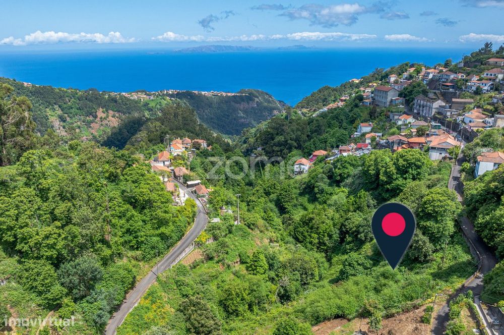 Terreno Rústico – Camacha, Ilha da Madeira
