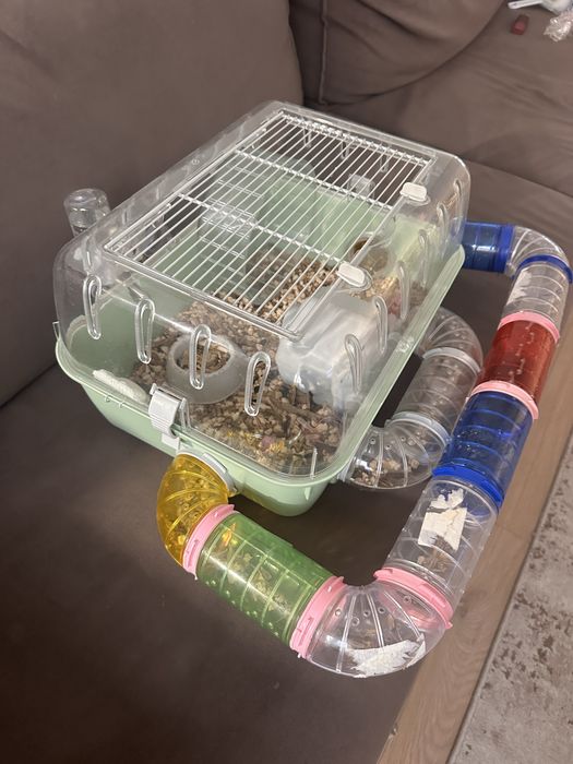 Хомʼяк з кліткою, клітка для хомʼяка