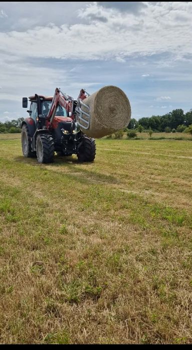 Siano tegoroczne 120/120