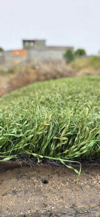 Relva Sintética Profissional Reciclada Topo de Gama